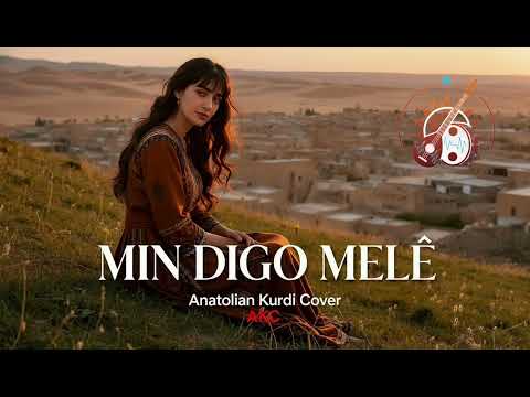 Min Digo Melê AKC Kurdish Drill Anatolian Kurdi Cover
