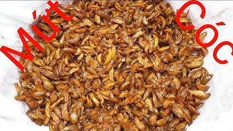 Cách làm mứt cốc đơn giản đặc sản ngon#cuộc sống ở pháp