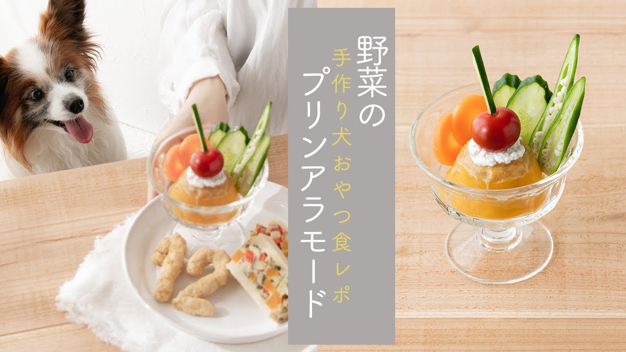 犬の誕生日にも 野菜で作るプリンアラモード 手作り犬おやつレシピ 犬ごはん先生いちかわあやこ Official Web Site
