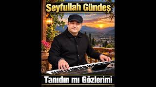 Seyfullah Gündeş Tanıdın Mı Gözlerimi 2026