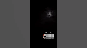 محمد حماقي ما بلاش تغيب عن تاني بدون موسيقى 
