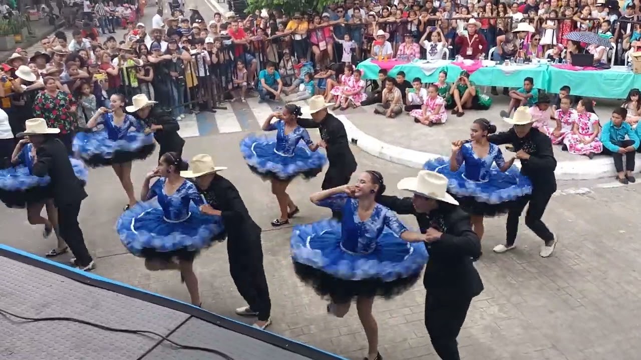 seleccion joropo Junior