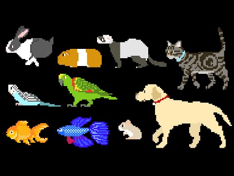 pets---dog,-cat,-rabbit,-fish,-birds,-hamster-&-more---the-kids'-picture-show-(fun-&-educational)