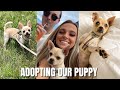 Adopting Our Puppy ll Week In Our Life as New Pawrents