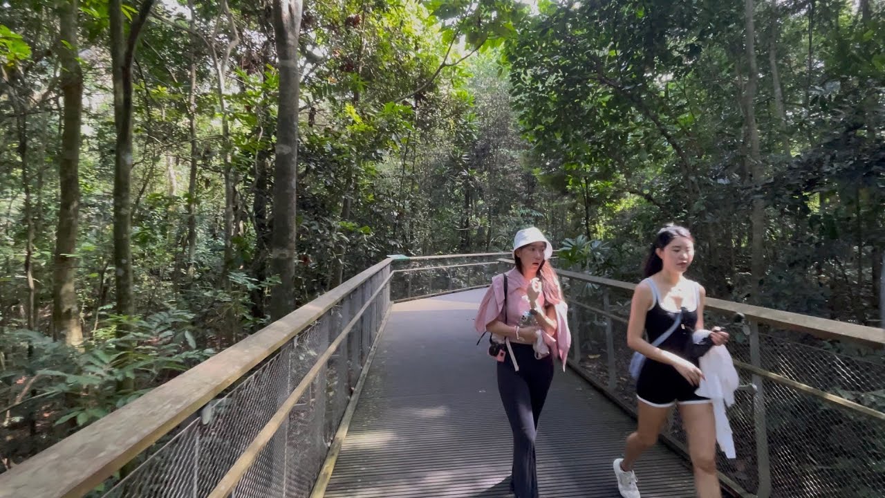 🇸🇬 Rifle Range Nature Park Walking Tour [4K 60fps] - YouTube