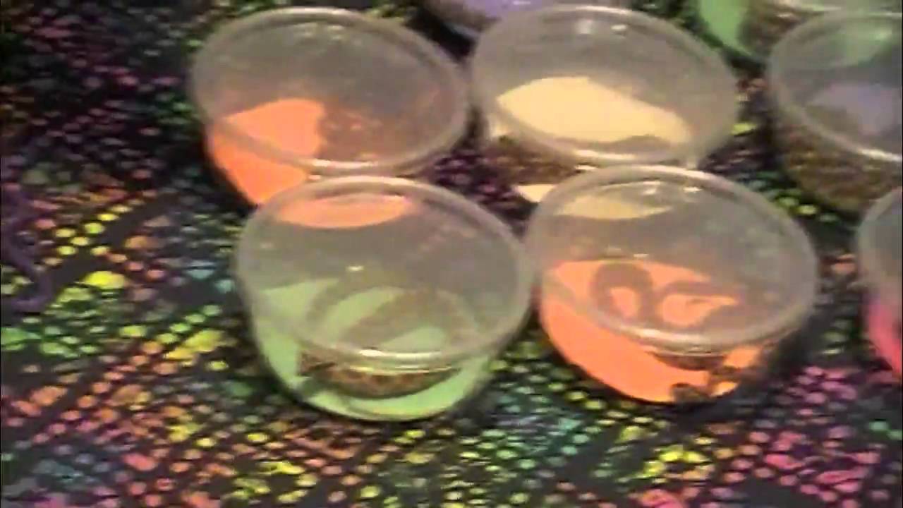 Manitoba Reptile Breeder Expo YouTube