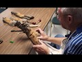2018 Woodcarving Expo Bark Carving Demo