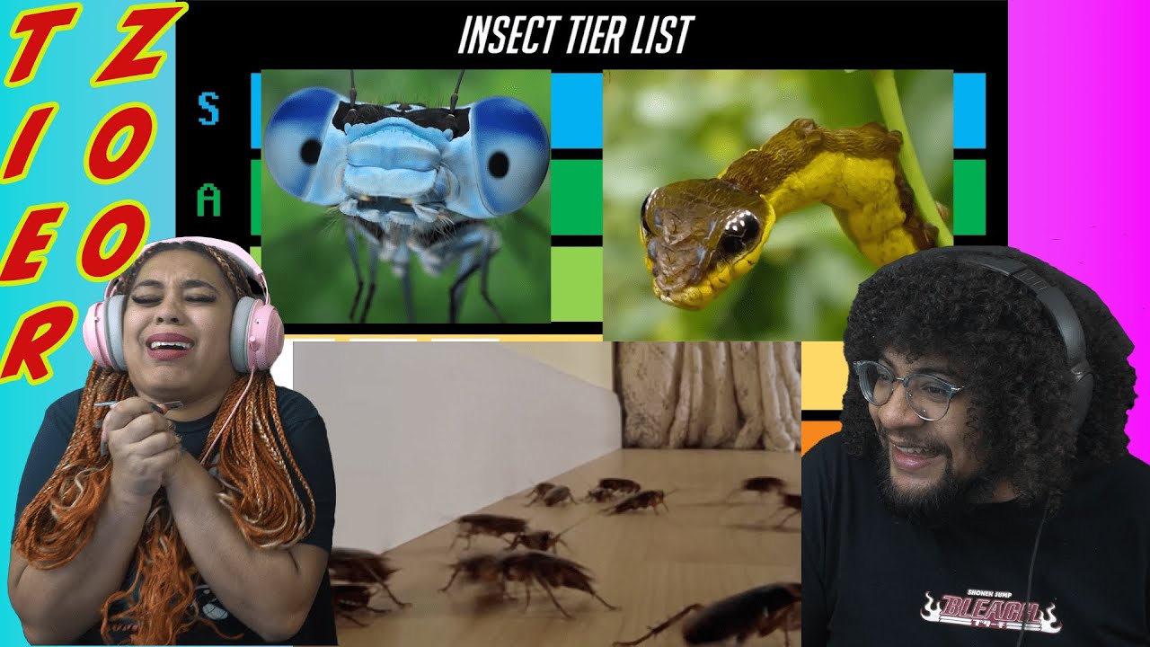 The Insect Tier List | Tier Zoo REACTION ft. Chavezz