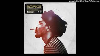 Anthony B  Weed Baby
