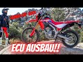 Honda CRF 300L - Ausbau vom Steuergerät ( ECU )