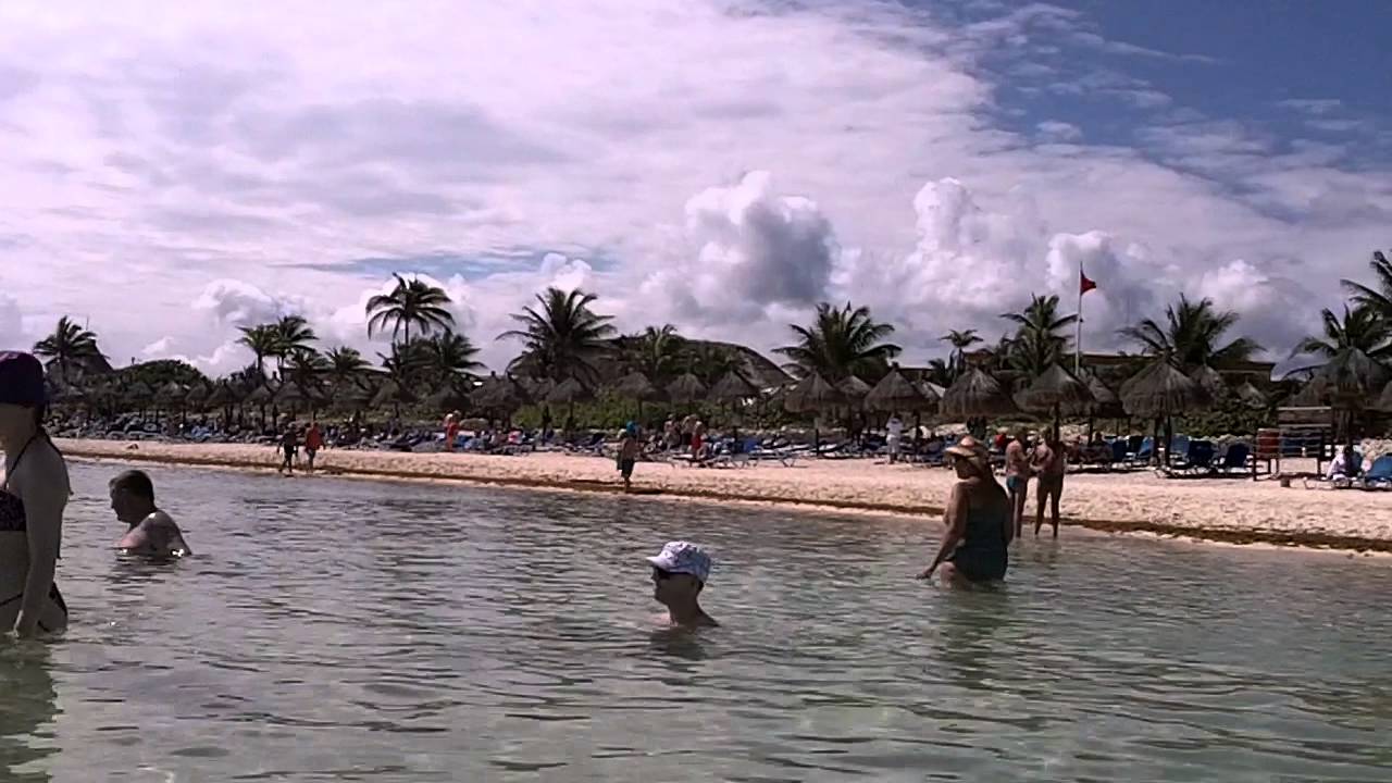 walking with fish mexico jan 2015