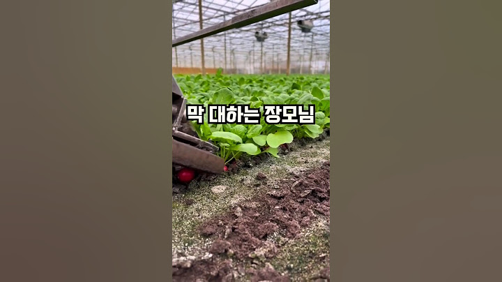 사위를 아들처럼 부리는 장모님 #사연  #shorts