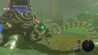 The Legend Of Zelda Breath Of The Wild: Guardian Fight