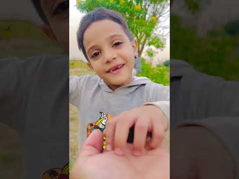 اكل كل الشيكبون الملون