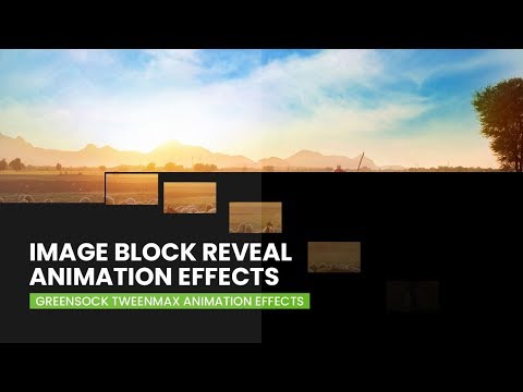 Image Block Reveal Animation Effects | GreenSock TweenMax Animation