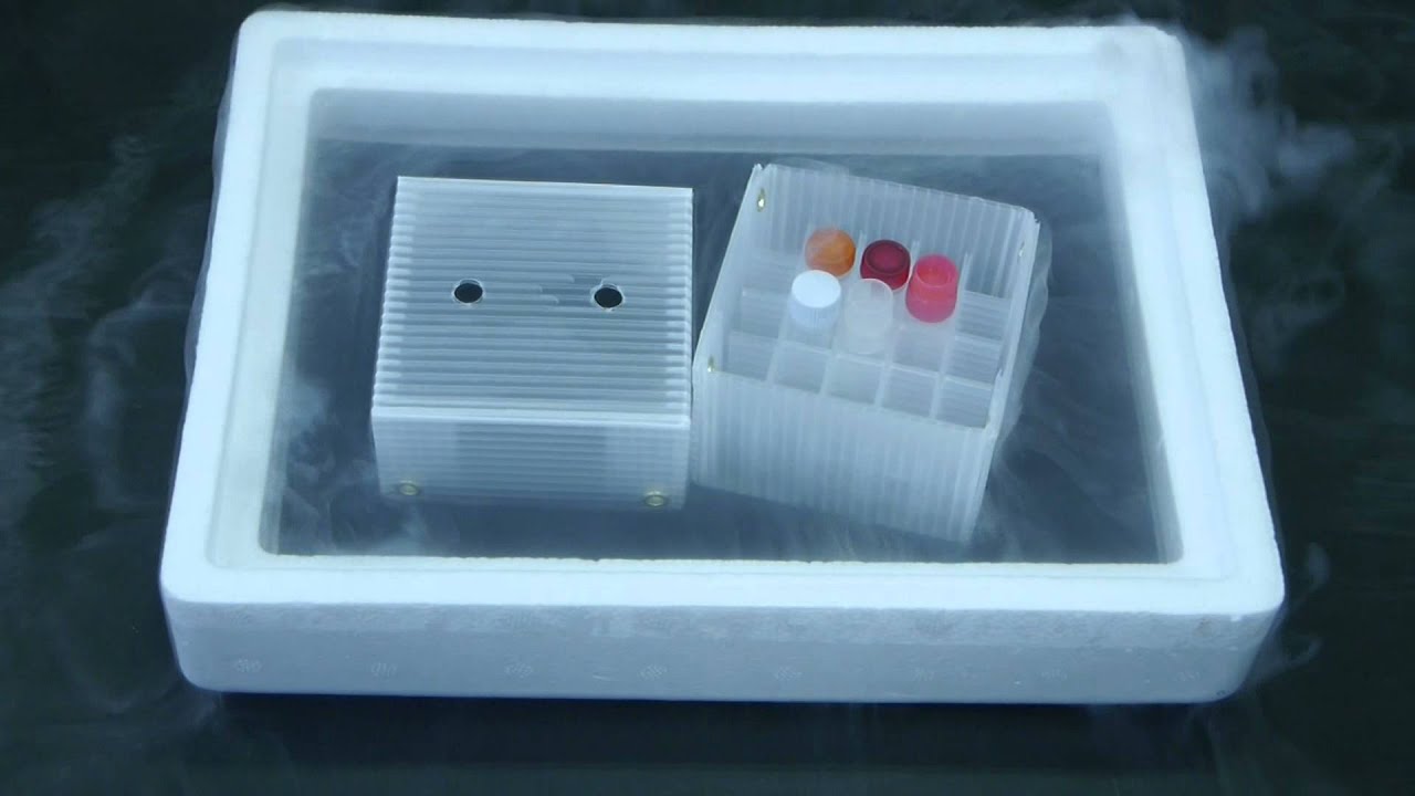 フリーズボックス 【フリーエス】 プラスチック製