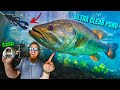 ULTRA Clear Water Bass Absolutely HATE This Lure!! (Late Season Bed Fishing)