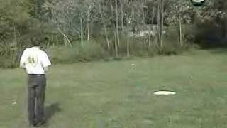 Megatech Horse Fly - RC Helicopter