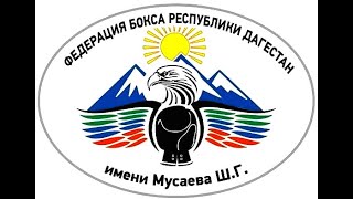 Чемпионат Республики Дагестан по  боксу 2024 год мужчины Буглен