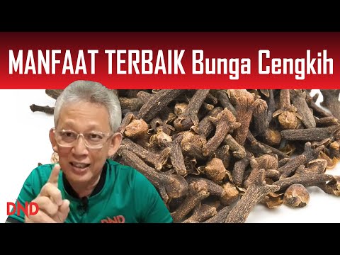 Video: Masalah Pokok Cengkih: Mengenali Masalah Biasa Menanam Cengkih