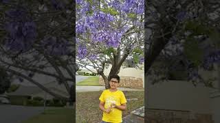 Arhan On Dinos - Oral 4B