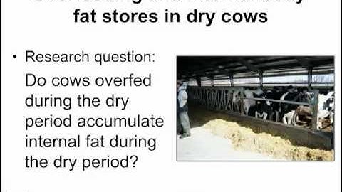 Managing the Transition Cow