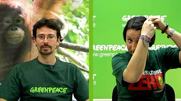 Quanto si guadagna con Greenpeace?