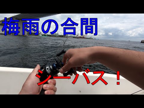 【シーバス】レンタルプレジャーボートで釣り