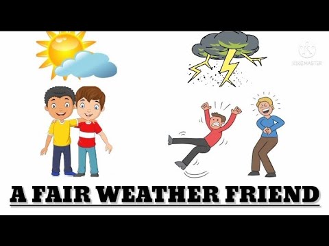 fair weather friend essay