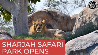 Inside look: Sharjah Safari Park