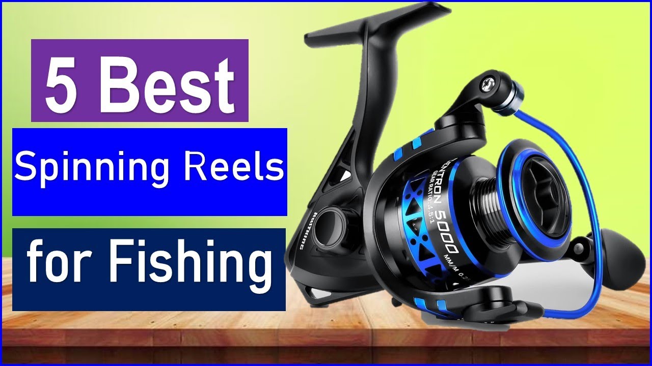 Best Spinning Reels for Fishing in 2025 | Top 5 Best Fishing Reels ...