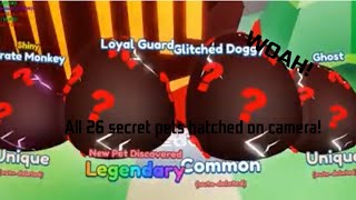 All 26 secret pets in mining simulator 2 hatched on camera! (Included Melaken and Loyal Guard)