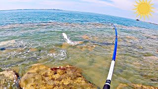 Fishing around Darwin - Landbased Queenfish