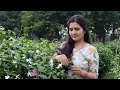 cutiee aashi is live