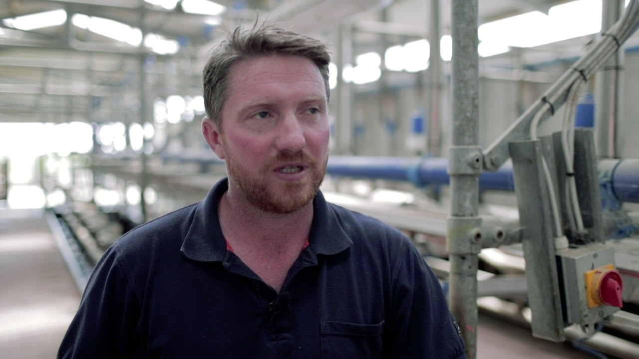 Monitor Farmers Darren & Eamon Healy Farm Walk June 14th 2018 YouTube