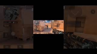 Пау Пау Пау