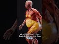 How to Reduce Body Fat..#gym #run #bodyfat #exercise #homeremedies #youtube #shorts #subscribe #usa
