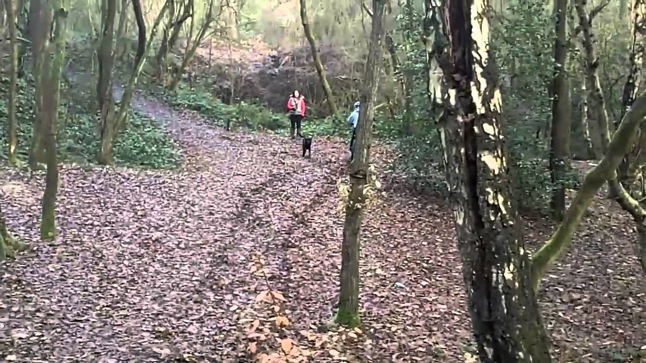 Mousehold Heath Dirt Jump Biking