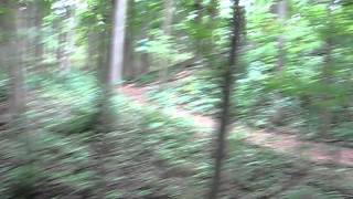Ziplining at Boler Mountain, in London, Ont