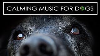 Jazz Music for Dogs - Soothing and Calming Music to Help Relax Your Dog