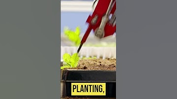 ROBOTICS & TECH 😍#robot #technology #agriculture #shorts