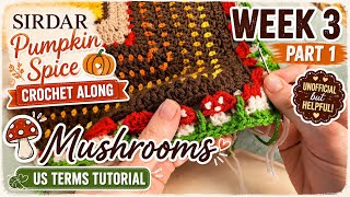 #sirdar  Pumpkin Spice  Crochet Along Week 2 Part 1 USTerms Tutorial 🍄