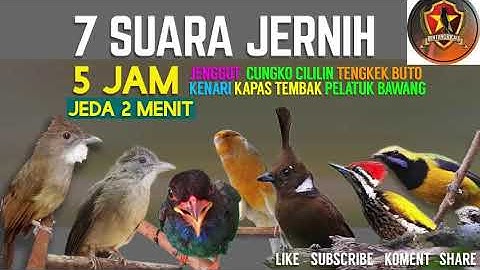 Part 3 MASTERING #1 7in1 MASTERAN KICAU BURUNGJenggot CUNGKO Cililin Tengkek Kenari Walang Pelatuk