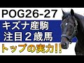 【POG/26−27】キズナ産駒の注目２歳馬をリストアップ！【リーディングトップの実力‼️次シーズン向け】