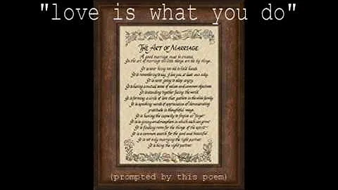 Love is what you Do : Steve Darcy (darcy lynn dedi...