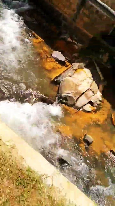 kateel Durga parameshwari 🙏🥺🌼