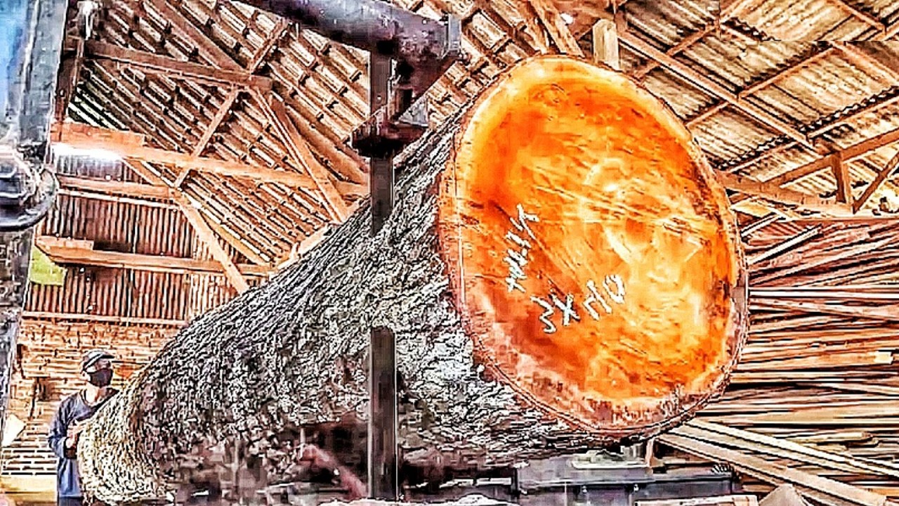 Sawmill Skills: Converting a Long Log into Lumber 🌲