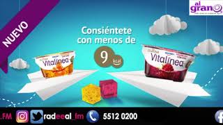 Que beneficios tienen el yogurt griego