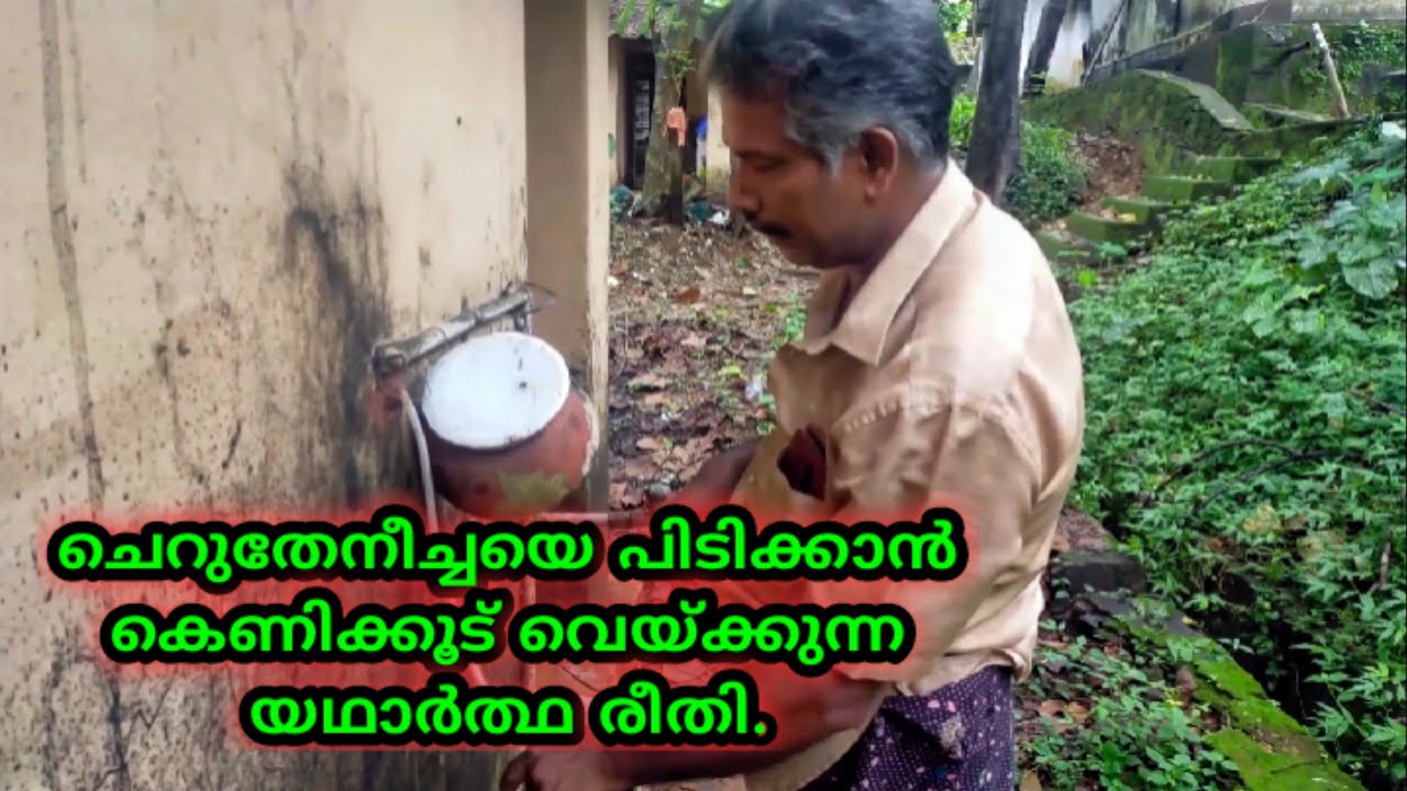 Stingless Bee Trap/ചെറുതേനീച്ചയെ പിടിക്കാൻ കെണിക്കൂട് സ്ഥാപിക്കുന്ന വിധം