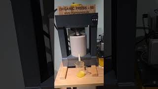 видео: Кунжутное масло. Инструкция по отжиму. картинка: Кунжутное масло. Инструкция по отжиму.